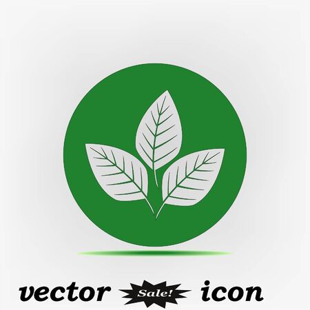 Leaves icon, vector illustrationのイラスト素材