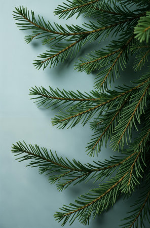 Christmas tree close, macro background of spruce branches. High quality photoの素材