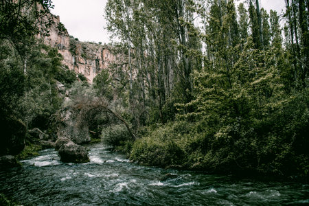 Landscape of the river among the stones, fast flow of water in the forest with cliffs in the light...