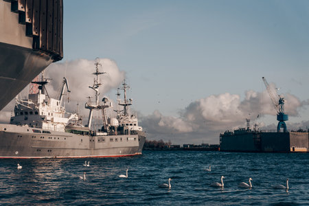 A group of swans swimming in a harbor with large ships and industrial cranes in the background on a...