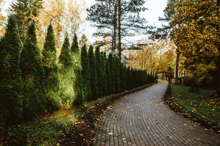 A curved brick pathway through a park lined with tall evergreen trees and autumn foliage