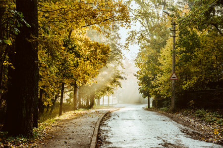 City street on a cloudy rainy day, deserted little town on an autumn day