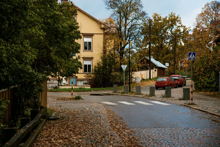 City street on an autumn day with fallen leaves covering the ground, featuring residential buildings...