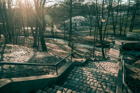 Concrete staircase in city park, staircase on green grass background in summer afternoon