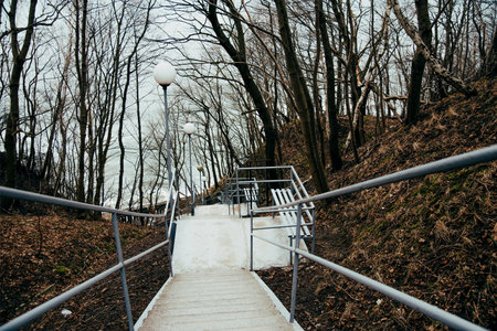Long concrete staircase with metal railings winding through bare autumn trees, featuring lamp posts...