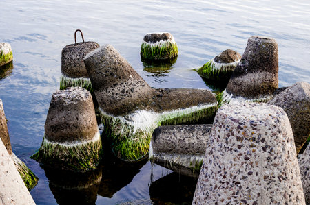 Concrete barriers in coastal waters with algae growthの写真素材