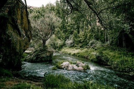 landscape of the river among the stones, fast flow of water in the reservoir in the light of dayの写真素材