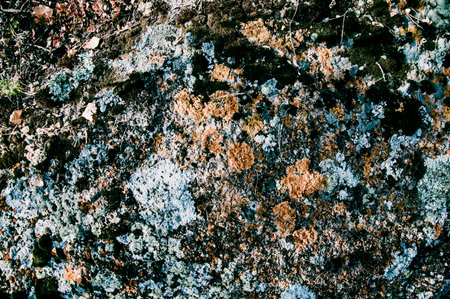 Natural stone texture with cracks, vegetation and dirt, texture background designの写真素材