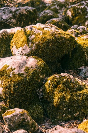 Natural stone texture with cracks, vegetation and dirt, texture background designの写真素材