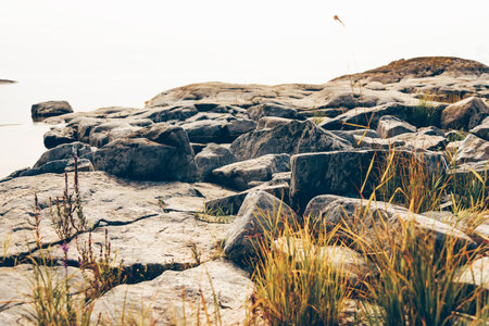 Natural stone texture with cracks, vegetation and dirt, texture background designの写真素材