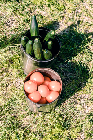 Travelers Cooking Food in Pots on a Campfire, tourist eats soupの写真素材