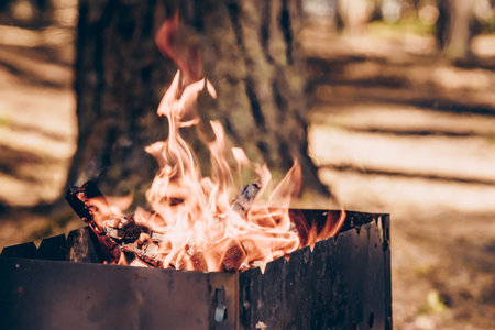 Campfire at the tourist campsite, hiking tourism on weekend vacation, fire flameの写真素材
