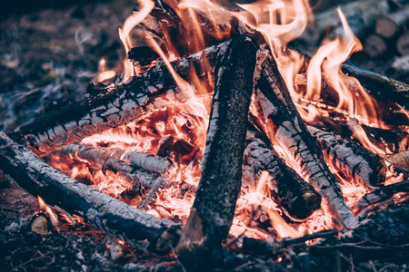 Campfire at the tourist campsite, hiking tourism on weekend vacation, fire flameの写真素材
