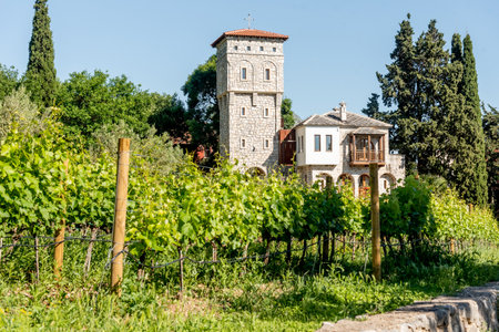 Tvrdos Monastery in the town of Trebinje in Bosnia and Herzegovina in summer in sunny weatherの写真素材