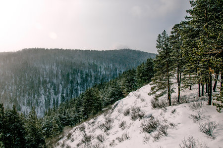 Landscape of snowy Siberia Krasnoyarsk mountains, peak range in haze winterの写真素材