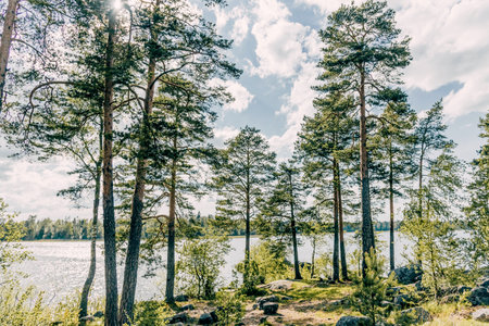 Landscape of the river Vuoksa among the stones, fast flow of water in the reservoir in the light of day Russia summerの写真素材