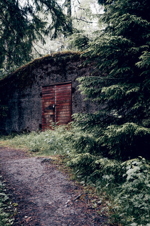 Entrance door to building in the woods, exterior of building outside street