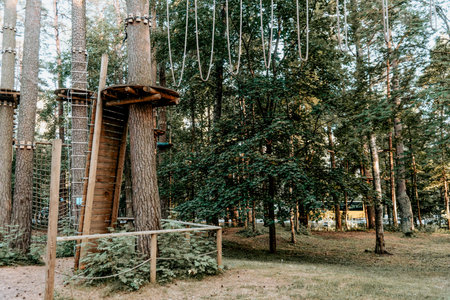 Empty playground with multi-colored play complex in pine forest, panorama on summer cloudy dayの写真素材