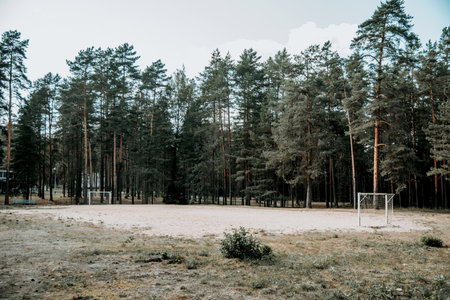 Children football court for kids in pine forest park, panorama on cloudy summer dayの写真素材