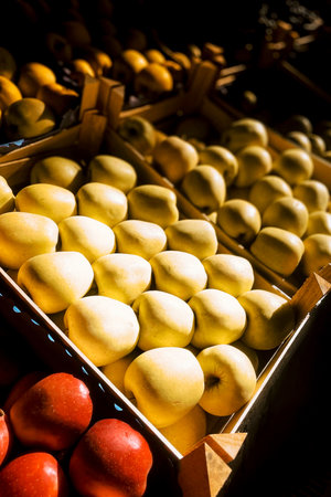 Apples in basket at the grocery store, fruits and vegetables are sold at the marketの写真素材