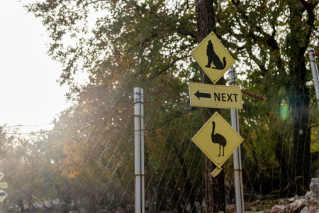 Animal signpost signs show trails at the zoo farm, yellow banners on forest backgroundの写真素材
