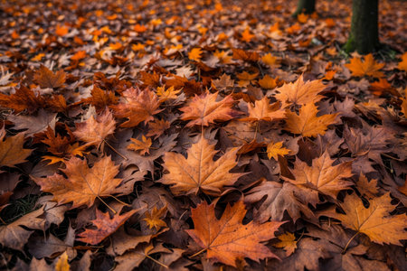 AI Generative Autumn atmosphere background with yellow and red leaves, leaf lies on ground in forest parkの素材