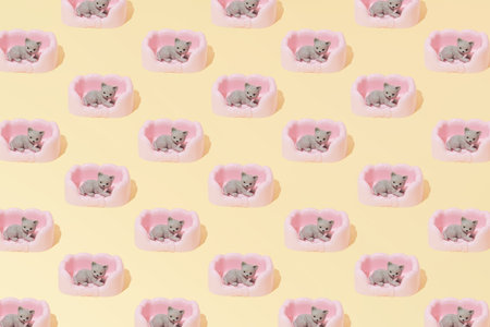 Cat Pet Bed sofa relax Pattern wallpaper on Yellow Background flat lay creative conceptの写真素材