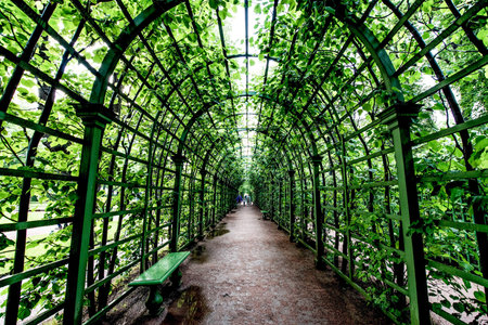 Saint Petersburg, Russia, 25 July 2017, Panorama of the landscape of Summer Garden Park with trees,...