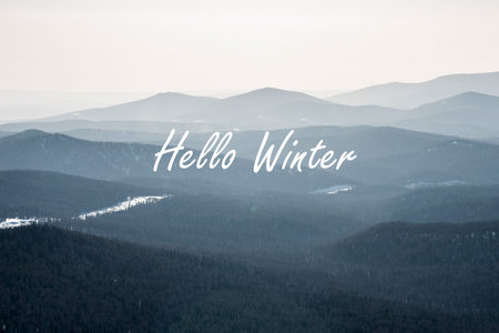 Greeting card banner with inscription Hello, winter on background of snowy forest