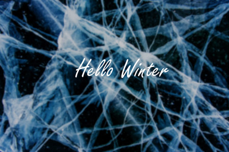 Greeting card banner with inscription Hello, winter on background of snowy forest