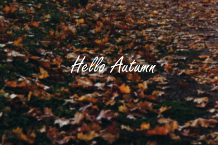 Greeting card with inscription Hello, autumn fall on background yellow and red leaves leaf fall