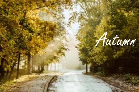 Greeting card with inscription Hello, autumn fall on background yellow and red leaves leaf fall