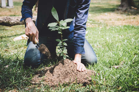 World environment day reforesting, Hands of young man were planting the seedlings and tree growing into soil while working in the garden as save the world, earth day, nature and ecology concept.の写真素材