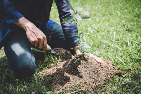 Planting a tree, Two hands of young man were planting the seedlings and tree growing into soil while working in the garden as save the world, earth day, nature, environment and ecology concept.の写真素材