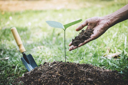Planting a tree, Hands of young man were planting the seedlings and tree growing into soil while working in the garden as save the world, earth day, nature, environment and ecology concept.の写真素材