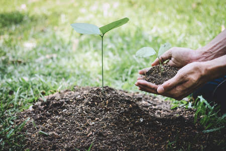 World environment day reforesting, Hands of young man were planting the seedlings and tree growing into soil while working in the garden as save the world, earth day, nature and ecology concept.の写真素材