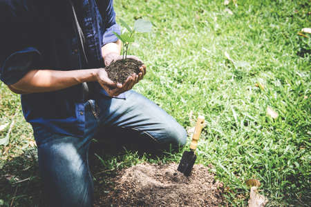 Planting a tree, Two hands of young man were planting the seedlings and tree growing into soil while working in the garden as save the world, earth day, nature, environment and ecology concept.の写真素材