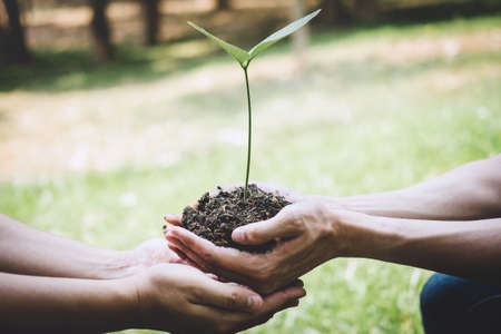 World environment day reforesting, Hands of young man helping were planting the seedlings and tree growing into soil while working in the garden as save the world, earth day and ecology concept.の写真素材