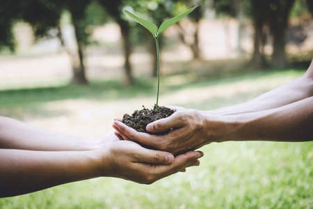 World environment day reforesting, Hands of young man helping were planting the seedlings and tree growing into soil while working in the garden as save the world, earth day and ecology concept.の写真素材