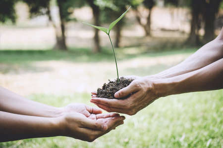 World environment day reforesting, Hands of young man helping were planting the seedlings and tree growing into soil while working in the garden as save the world, earth day and ecology concept.の写真素材