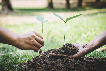 World environment day reforesting, Hands of young man helping were planting the seedlings and tree growing into soil while working in the garden as save the world, earth day and ecology concept.の写真素材