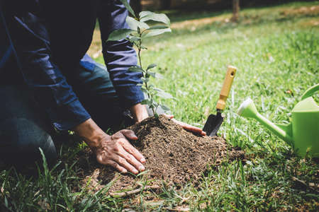 Planting a tree, Two hands of young man were planting the seedlings and tree growing into soil while working in the garden as save the world, earth day, nature, environment and ecology concept.の写真素材