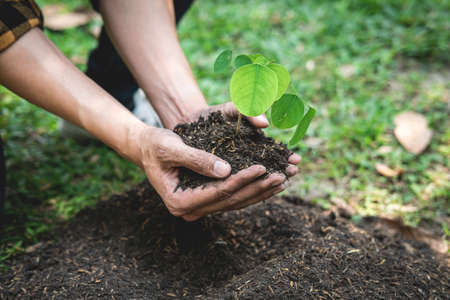 Man holding young sprout tree in two hands to protection new generation seedling to transplant into soil in the garden while reforestation for environment earthの写真素材