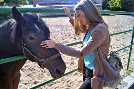 The girl communicates with a horse in the park in the summerの写真素材