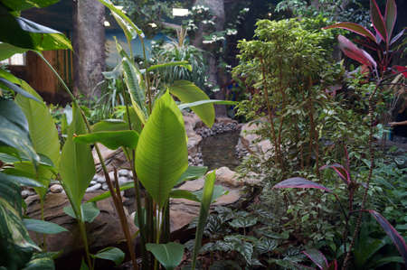 Vegetation in the zoo, landscaping, landscaping, beautifully laid out stone, flowers, admiration, creativeの写真素材