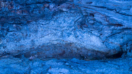 Background, gorge in the texture of the tree bark in the form of a waveの写真素材