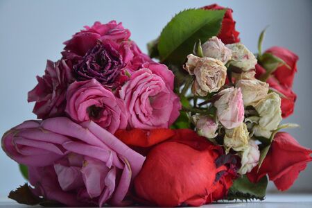 fleeting beauty of a bouquet of rosesの写真素材