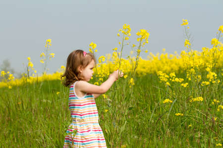 Child in a flower fieldの写真素材
