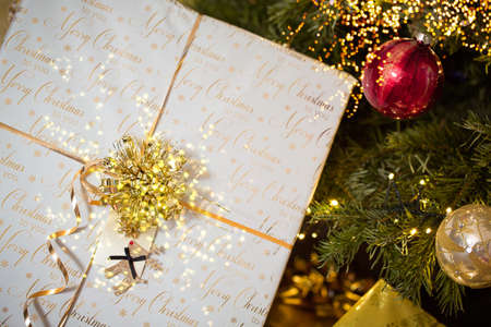 Christmas gift box under a Christmas tree