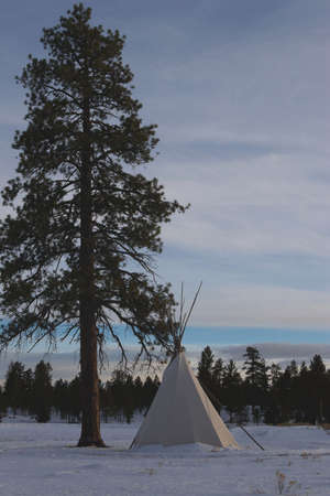 Canvas teepee under ponderosa pine tree in the snow.の写真素材